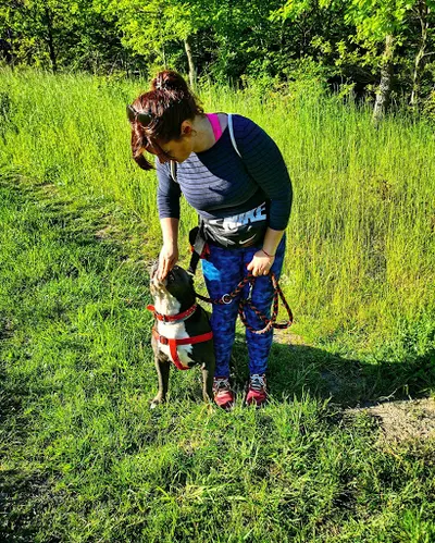 Pozytywne Szkolenie Psów